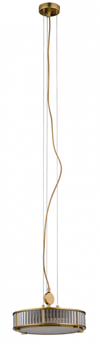 LAV-ZW-3(P)310-1/L, фото