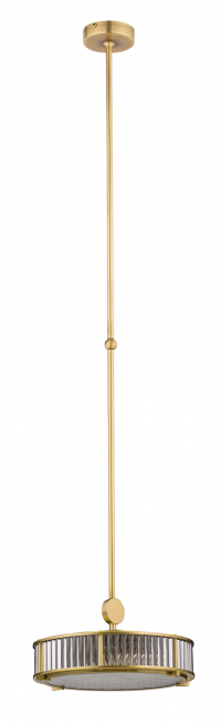 LAV-ZW-3(Z)310-1/R, фото