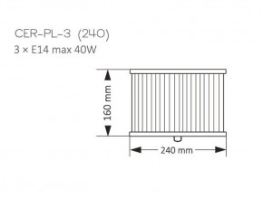 CER-PL-3(N)240, фото 2