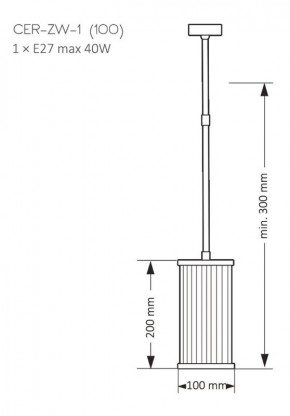 CER-ZW-1(Z)100, фото 2