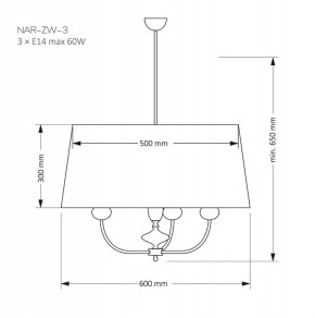 NAR-ZW-3(CZ), фото 2