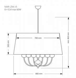 NAR-ZW-6(CZ), фото 4