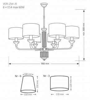 VER-ZW-6(P), фото 2