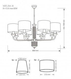 VER-ZW-8(N), фото 2