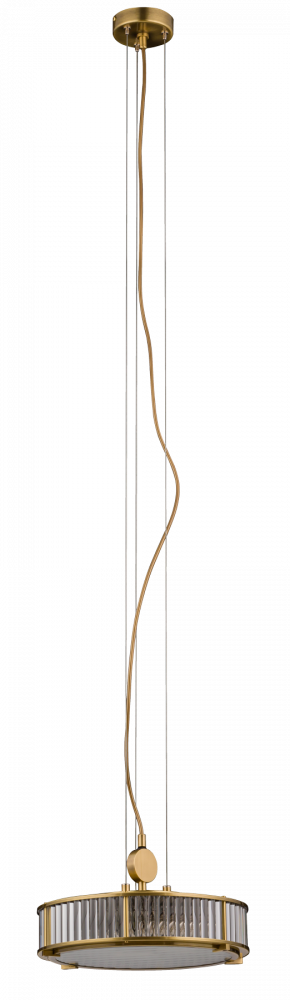 LAV-ZW-3(P)310-1/L, фото 1