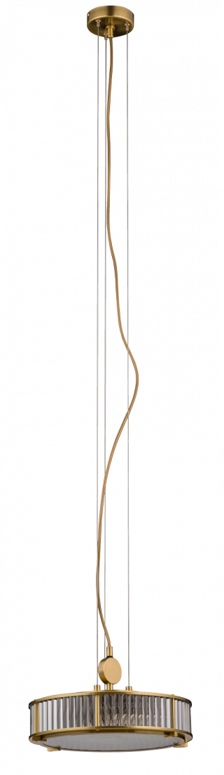 LAV-ZW-3(P)310-1/L, фото