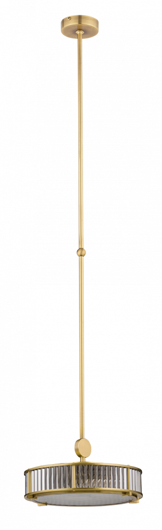 LAV-ZW-3(Z)310-1/R, фото